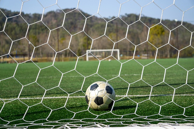 这一胜利标 这一胜利标