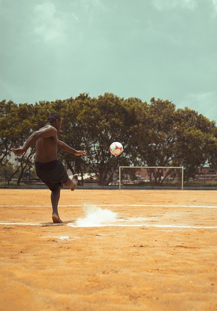 德国队退赛 德国队退赛