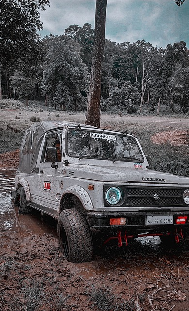 尤其是与国 尤其是与国