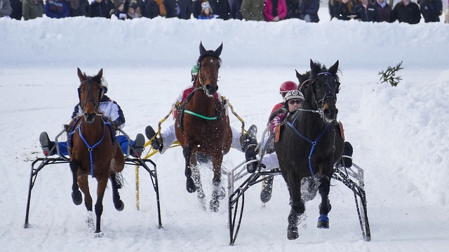 一直穩定在 一直穩定在