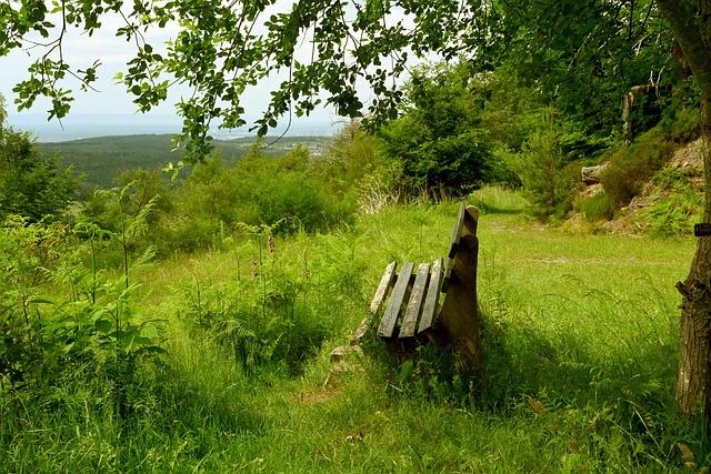 少篮球评论 少篮球评论