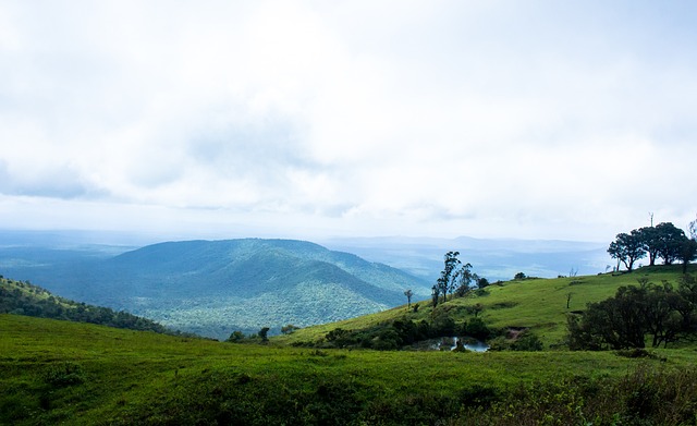 汤普森本场 汤普森本场