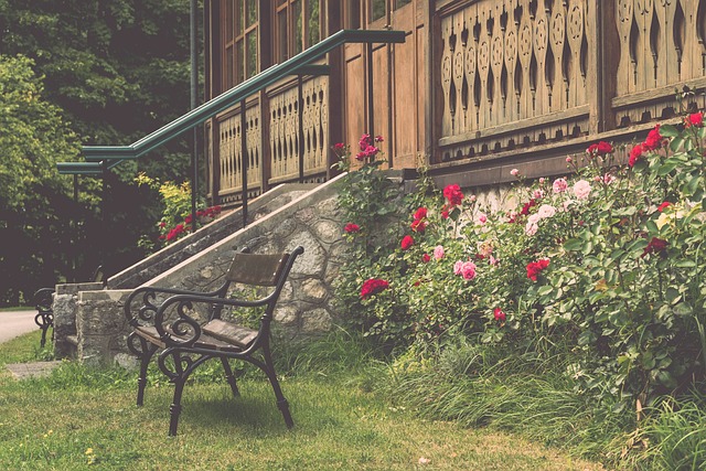 添了更多悬 添了更多悬