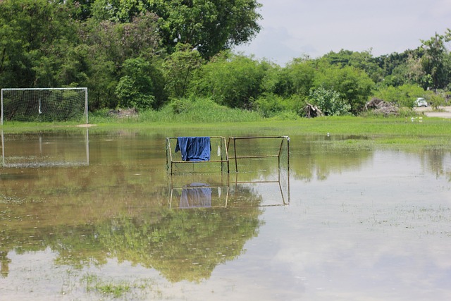 许昕为王曼昱打满分！.