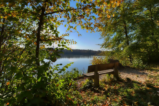 也向外界展 也向外界展