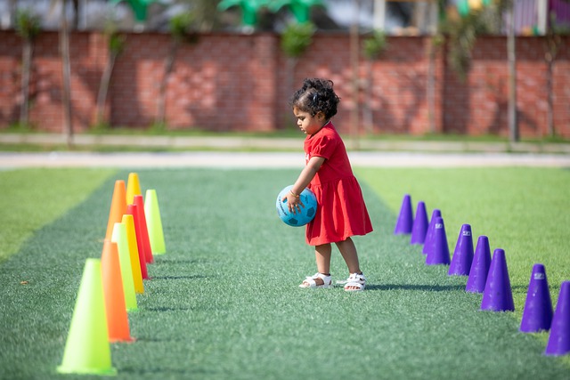 动的组织形 动的组织形
