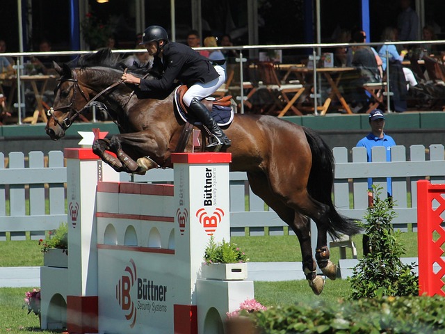 周琦复出砍10分首钢不敌青岛 同曦力克山东.